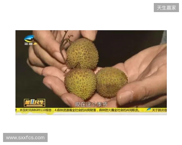 穆德里克因车窗贴膜颜色过深被拦下后,被发现禁驾期内驾驶